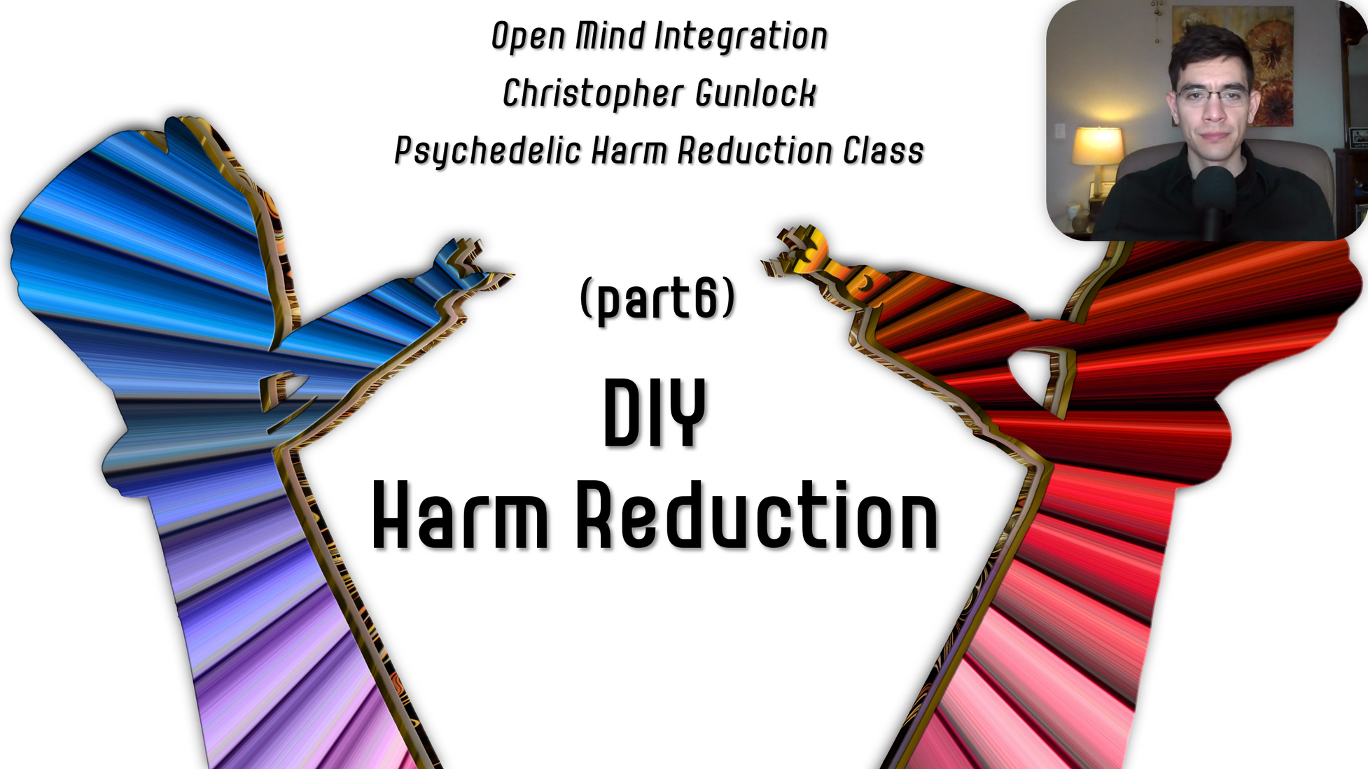 Part 6: DIY Harm Reduction